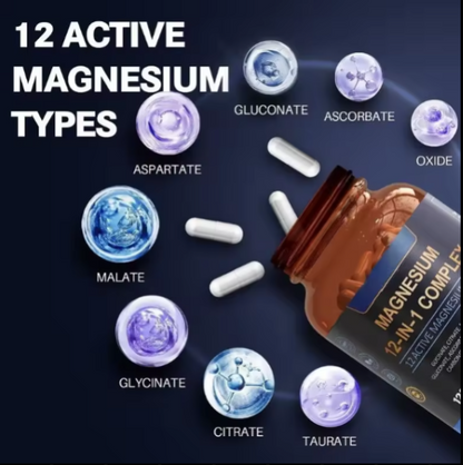 Magnesium 12-en-1 Complex – Le soutien quotidien qui accompagne votre rythme
